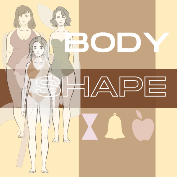 Analisi Body Shape Stayinpalette
